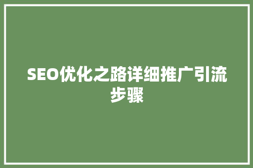 SEO优化之路详细推广引流步骤  第1张