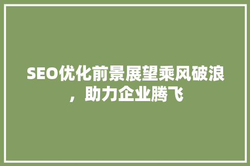 SEO优化前景展望乘风破浪，助力企业腾飞