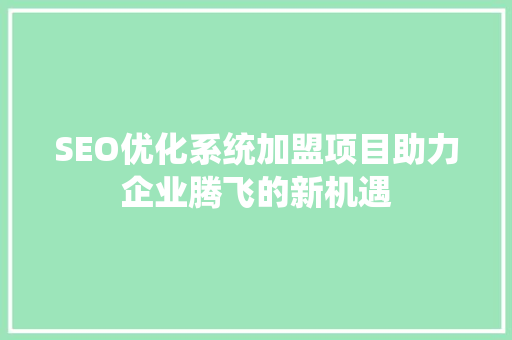 SEO优化系统加盟项目助力企业腾飞的新机遇