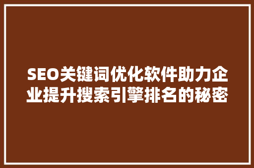 SEO关键词优化软件助力企业提升搜索引擎排名的秘密武器