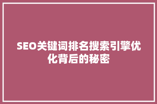 SEO关键词排名搜索引擎优化背后的秘密