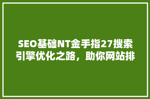 SEO基础NT金手指27搜索引擎优化之路，助你网站排名攀升