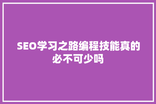 SEO学习之路编程技能真的必不可少吗