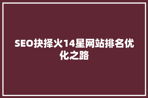 SEO抉择火14星网站排名优化之路