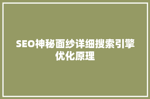 SEO神秘面纱详细搜索引擎优化原理