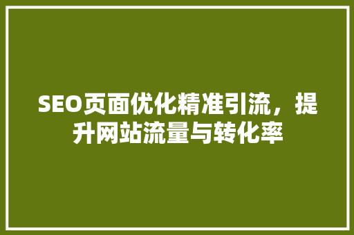 SEO页面优化精准引流，提升网站流量与转化率