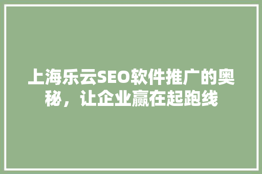 上海乐云SEO软件推广的奥秘，让企业赢在起跑线
