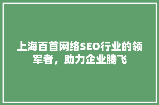 上海百首网络SEO行业的领军者，助力企业腾飞
