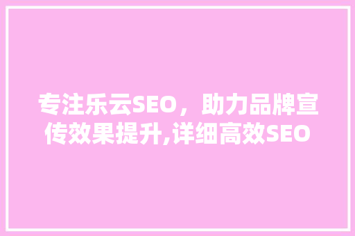 专注乐云SEO，助力品牌宣传效果提升,详细高效SEO步骤
