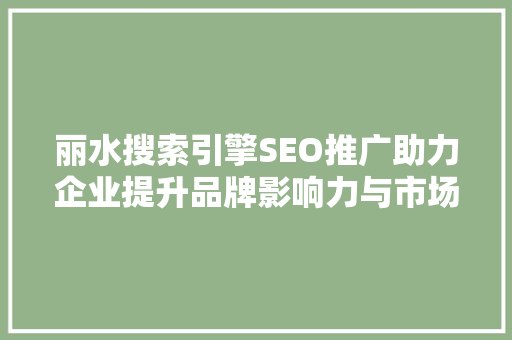 丽水搜索引擎SEO推广助力企业提升品牌影响力与市场竞争力