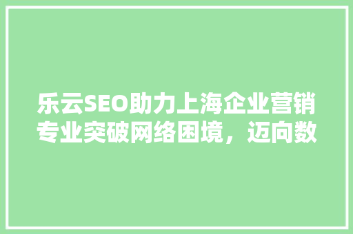 乐云SEO助力上海企业营销专业突破网络困境，迈向数字营销新高峰