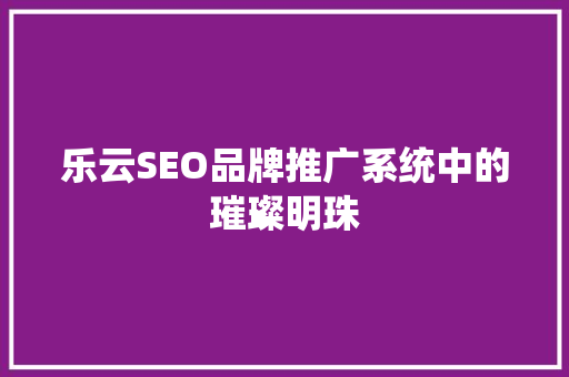 乐云SEO品牌推广系统中的璀璨明珠