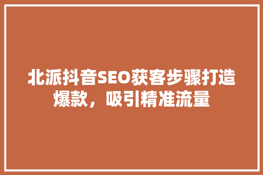 北派抖音SEO获客步骤打造爆款，吸引精准流量