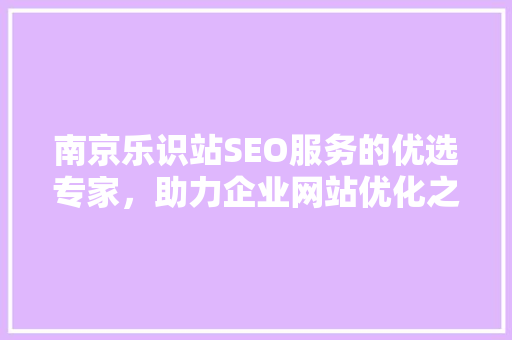 南京乐识站SEO服务的优选专家，助力企业网站优化之路