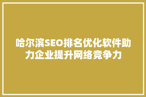 哈尔滨SEO排名优化软件助力企业提升网络竞争力