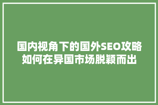 国内视角下的国外SEO攻略如何在异国市场脱颖而出