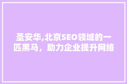 圣安华,北京SEO领域的一匹黑马，助力企业提升网络竞争力