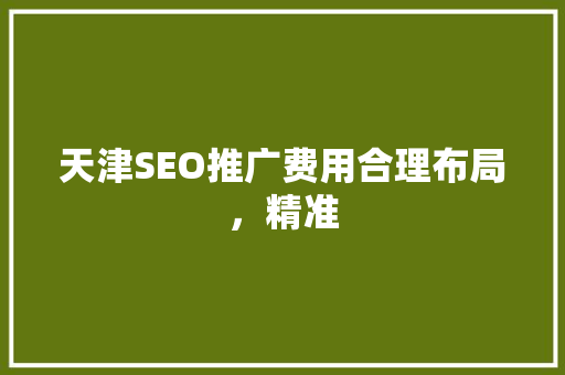 天津SEO推广费用合理布局，精准