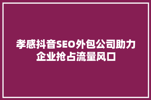 孝感抖音SEO外包公司助力企业抢占流量风口  第1张