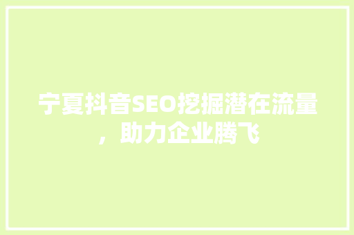 宁夏抖音SEO挖掘潜在流量，助力企业腾飞