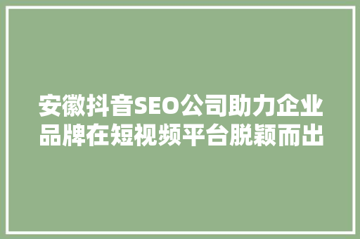 安徽抖音SEO公司助力企业品牌在短视频平台脱颖而出