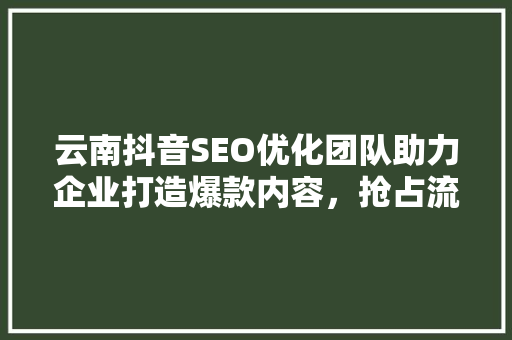 云南抖音SEO优化团队助力企业打造爆款内容，抢占流量高地