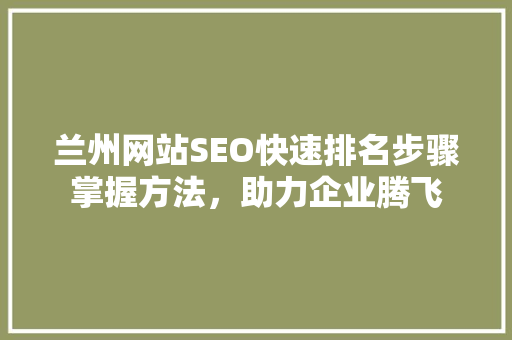 兰州网站SEO快速排名步骤掌握方法，助力企业腾飞