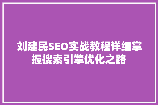 刘建民SEO实战教程详细掌握搜索引擎优化之路