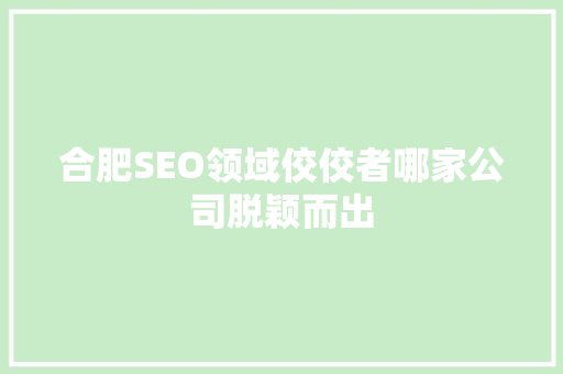 合肥SEO领域佼佼者哪家公司脱颖而出