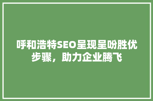 呼和浩特SEO呈现呈吩胜优步骤，助力企业腾飞
