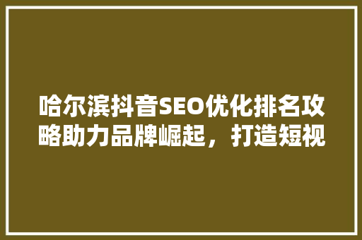 哈尔滨抖音SEO优化排名攻略助力品牌崛起，打造短视频营销新格局