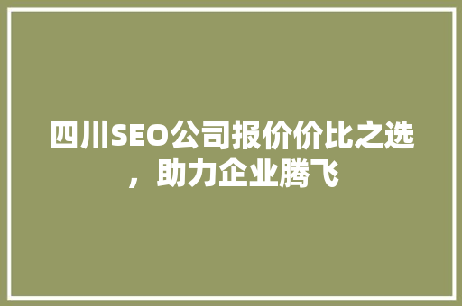 四川SEO公司报价价比之选，助力企业腾飞