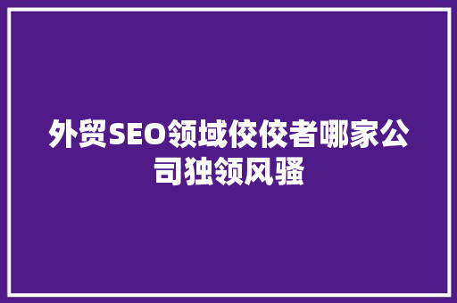 外贸SEO领域佼佼者哪家公司独领风骚