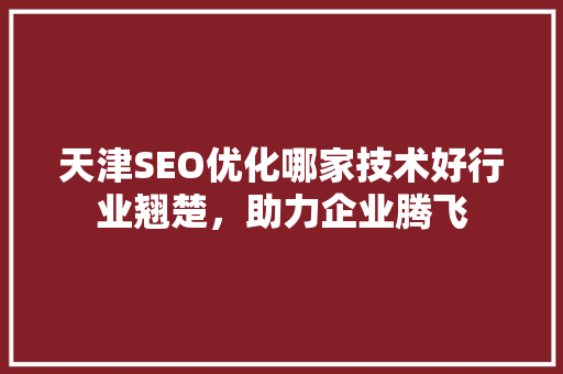 天津SEO优化哪家技术好行业翘楚，助力企业腾飞