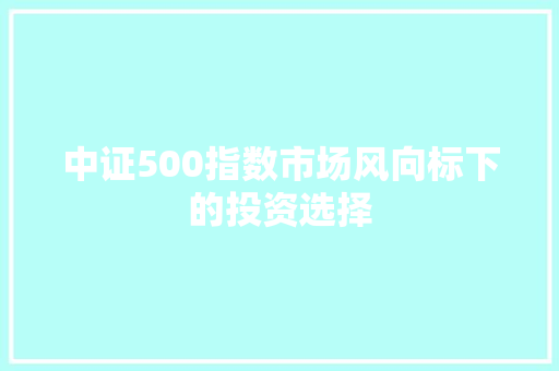 中证500指数市场风向标下的投资选择