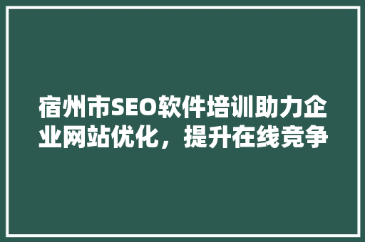 宿州市SEO软件培训助力企业网站优化，提升在线竞争力