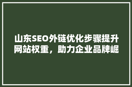 山东SEO外链优化步骤提升网站权重，助力企业品牌崛起