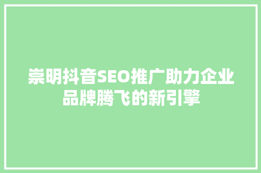 崇明抖音SEO推广助力企业品牌腾飞的新引擎