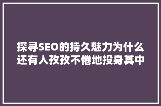 探寻SEO的持久魅力为什么还有人孜孜不倦地投身其中