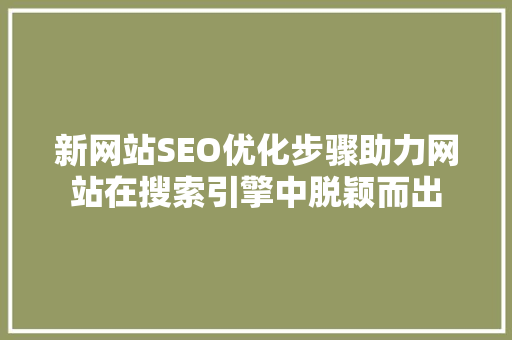 新网站SEO优化步骤助力网站在搜索引擎中脱颖而出