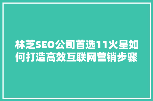 林芝SEO公司首选11火星如何打造高效互联网营销步骤