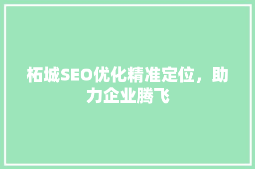 柘城SEO优化精准定位，助力企业腾飞