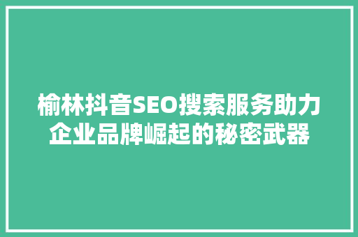 榆林抖音SEO搜索服务助力企业品牌崛起的秘密武器