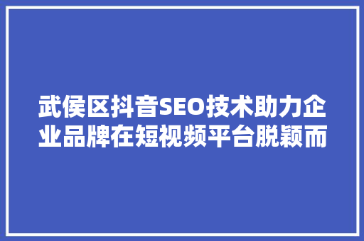 武侯区抖音SEO技术助力企业品牌在短视频平台脱颖而出