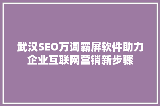 武汉SEO万词霸屏软件助力企业互联网营销新步骤