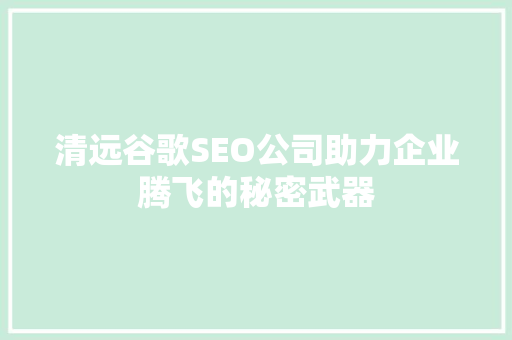 清远谷歌SEO公司助力企业腾飞的秘密武器