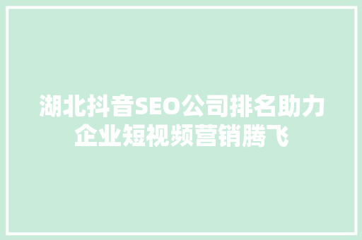 湖北抖音SEO公司排名助力企业短视频营销腾飞