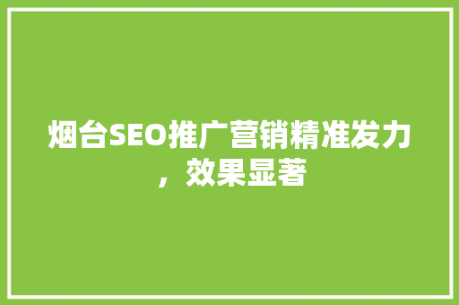 烟台SEO推广营销精准发力，效果显著