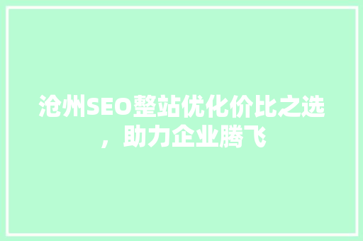 沧州SEO整站优化价比之选，助力企业腾飞  第1张