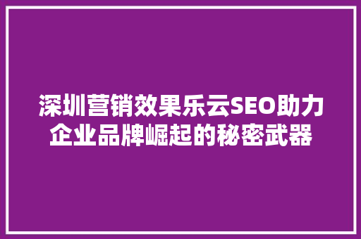 深圳营销效果乐云SEO助力企业品牌崛起的秘密武器